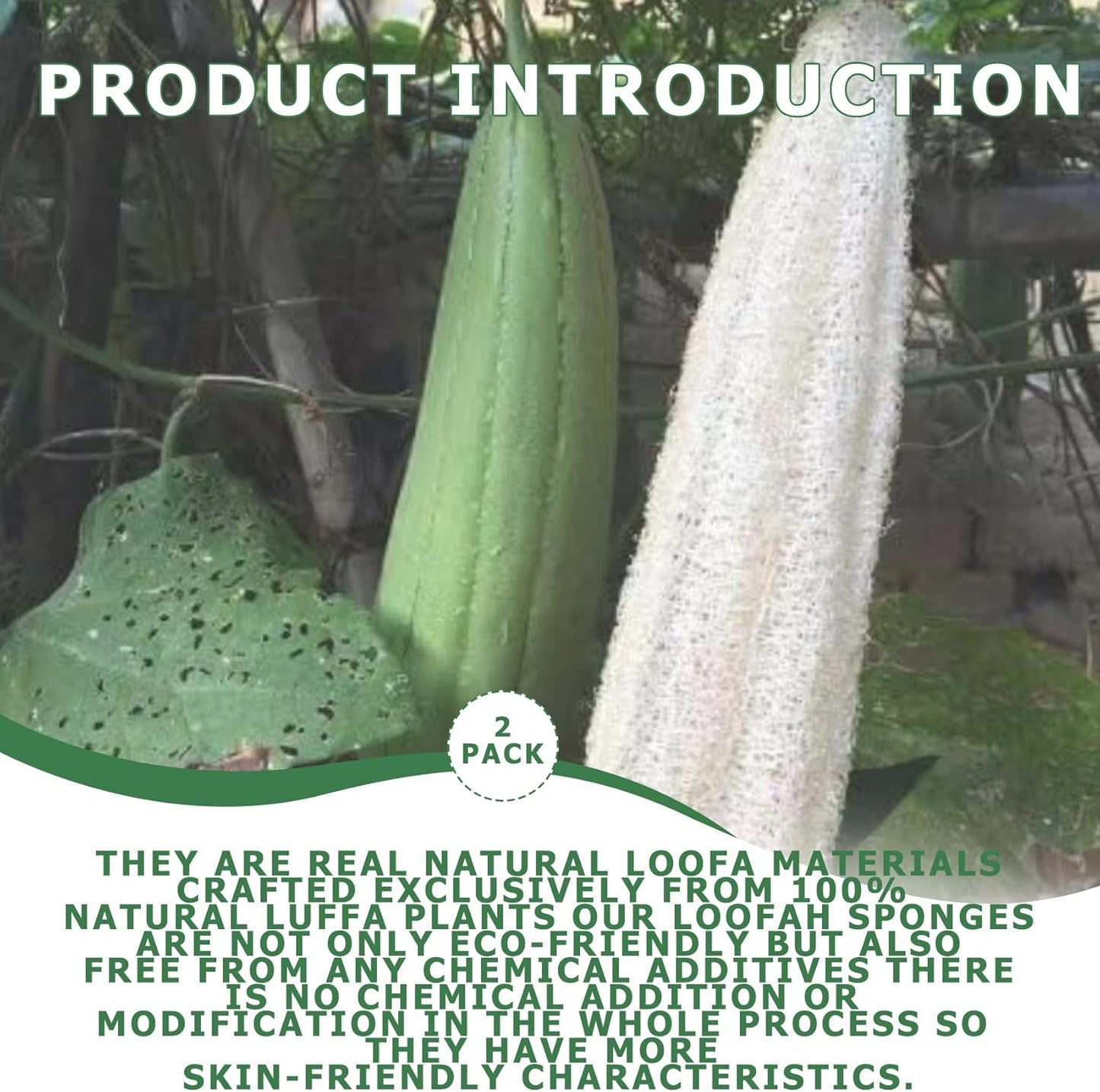 Pure Natural Loofah Sponge, Organic Reusable Exfoliating Body and Back Scrub for SPA Beauty Bath and Radiant Skin, Natural Dish Sponge (2 Pack)