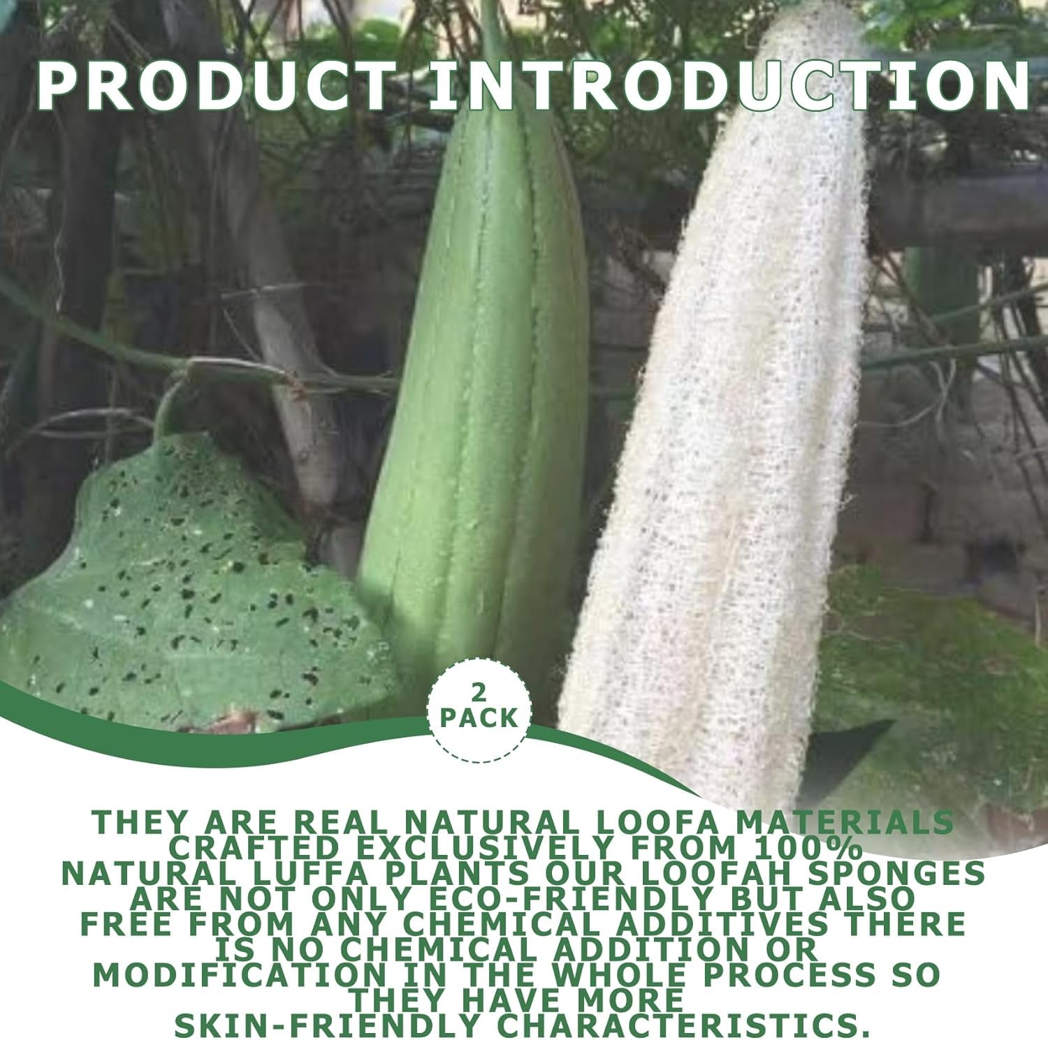 Pure Natural Loofah Sponge, Organic Reusable Exfoliating Body and Back Scrub for SPA Beauty Bath and Radiant Skin, Natural Dish Sponge (2 Pack)