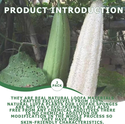 Pure Natural Loofah Sponge, Organic Reusable Exfoliating Body and Back Scrub for SPA Beauty Bath and Radiant Skin, Natural Dish Sponge (2 Pack)